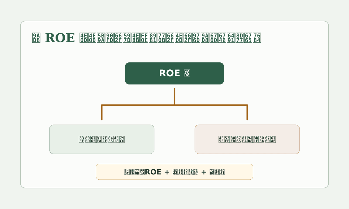 高 ROE 可能来自经营优秀，也可能来自高负债杠杆